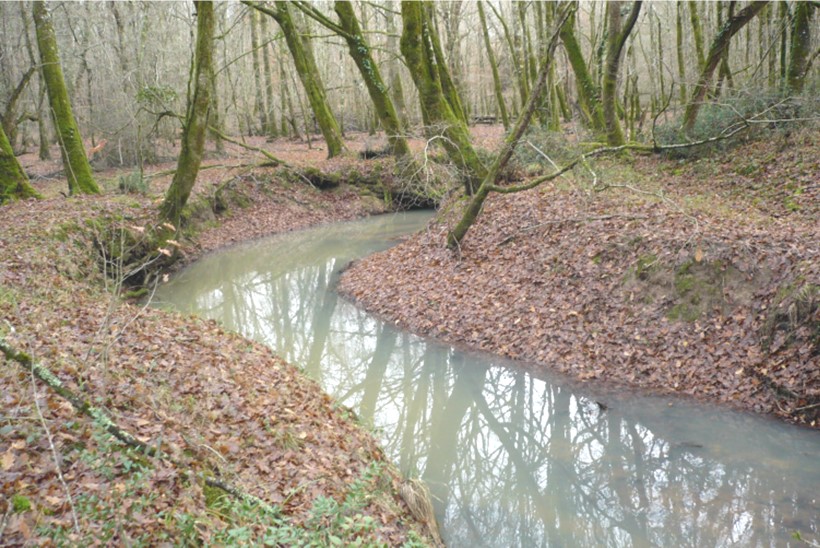 La Charbonnière